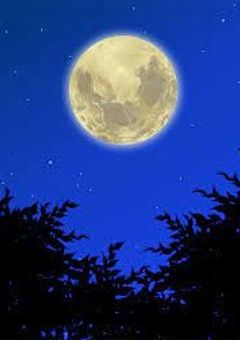 吸血鬼少女と最強『完結』