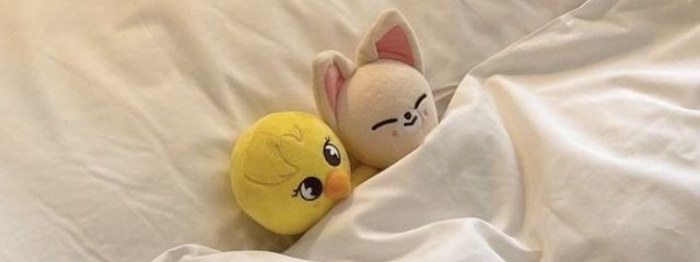 🐾🐩 　さんの壁紙画像