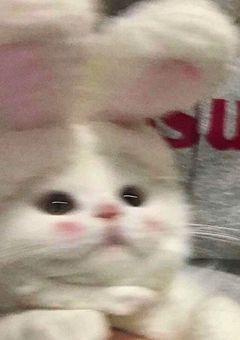 酔っぱらいの貴方と.