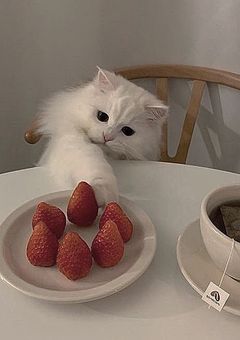 いけない人妻は隣人と