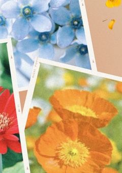 色鮮やかな世界で