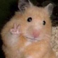 残り湯さんのアイコン画像