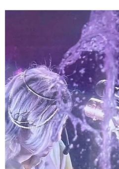 皆さんはリブート見ますか？