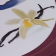 わさびん@ﾜｻさんのアイコン画像