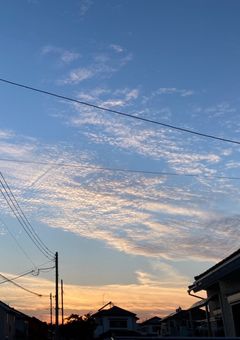 【2j3j】short story