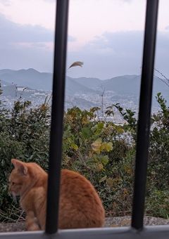 約 束。　　【時透無一郎】