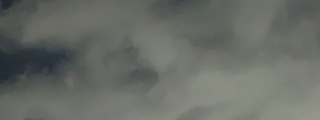 みのみのさんの壁紙画像