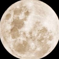 Shunさんのアイコン画像