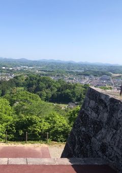 ルマリアの無駄情報