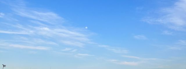 月🌙*さんの壁紙画像