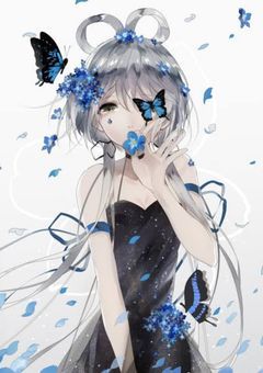 胡蝶姉妹