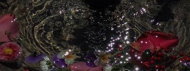 えすさんの壁紙画像