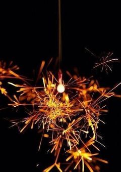 二年一組の黒豹さん