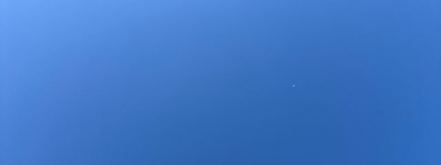 睦さんの壁紙画像