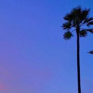 taekookさんのアイコン画像