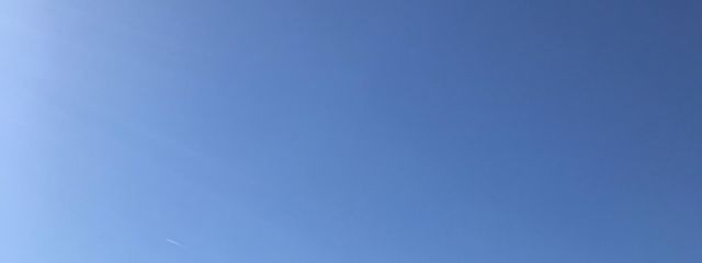 琴音“さんの壁紙画像