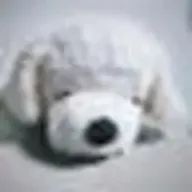 sakuraさんのアイコン画像