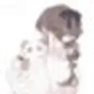 Hanaさんのアイコン画像