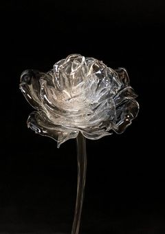 第2王子と騎士サマ