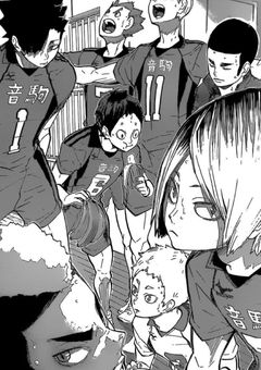 音駒の熱血マネージャーさん