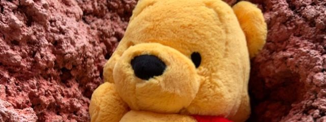 のーかふん🍯💭さんの壁紙画像