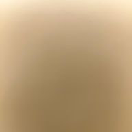 n...さんのアイコン画像