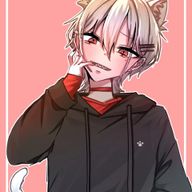 白猫のスルメさんのアイコン画像