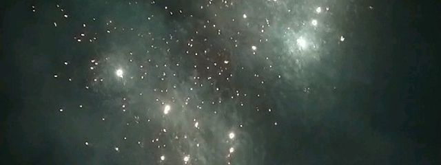 琥珀糖🦊  神獣って可愛いの多くない？(駄作しか書けない)さんの壁紙画像
