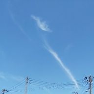 Yuさんのアイコン画像