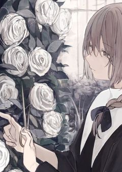 【op夢】私、ドンキホーテファミリーです