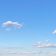 Lateさんのアイコン画像