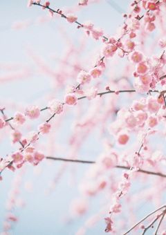 初めましてでしょ