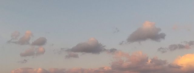 お空さんの壁紙画像