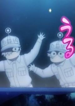 はたらく細胞ﾀﾞﾖ！！