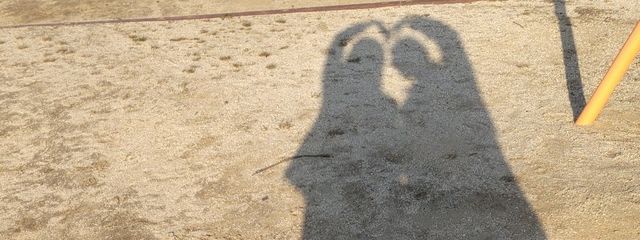せ と う ち さんの壁紙画像