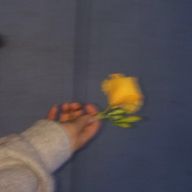 あるらさんのアイコン画像