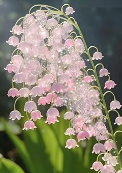 F4に目をつけられました！！