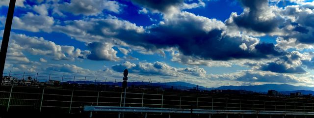 きつねさんの壁紙画像