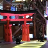 荒井蒼花@1週間活動休止さんのアイコン画像