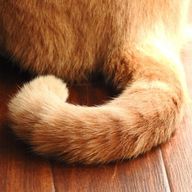 青瀬桃  スランプ中さんのアイコン画像