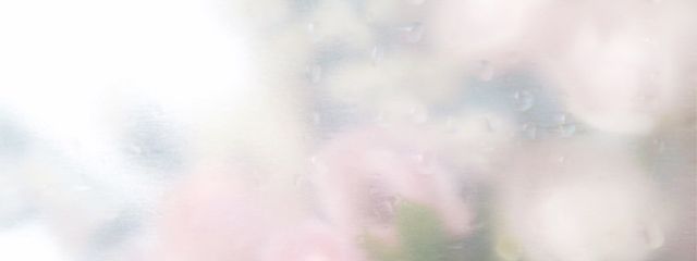 　さんの壁紙画像