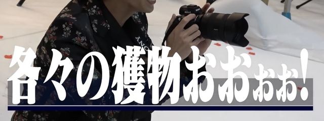 ぴょんさんの壁紙画像