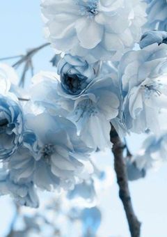 出来損ないのAI彼氏【青】