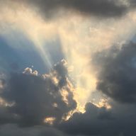 茶トラさんのアイコン画像