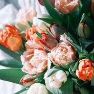 おれんじの物語さんのアイコン画像