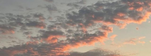 べーこん さんの壁紙画像