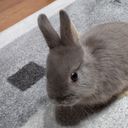 主✌︎(´^ω^｀)✌︎