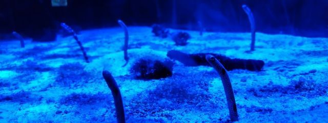 奏多さんの壁紙画像