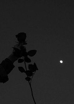 め ん ど く さ ガ ー ル