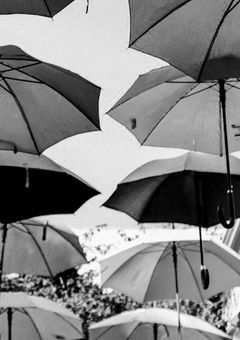 色々と距離感バグってる1期生が居るらしいです